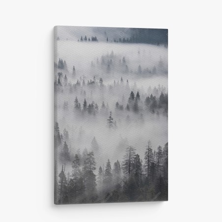 Leinwandbild nebeliger kiefernwald – Wallnifity®