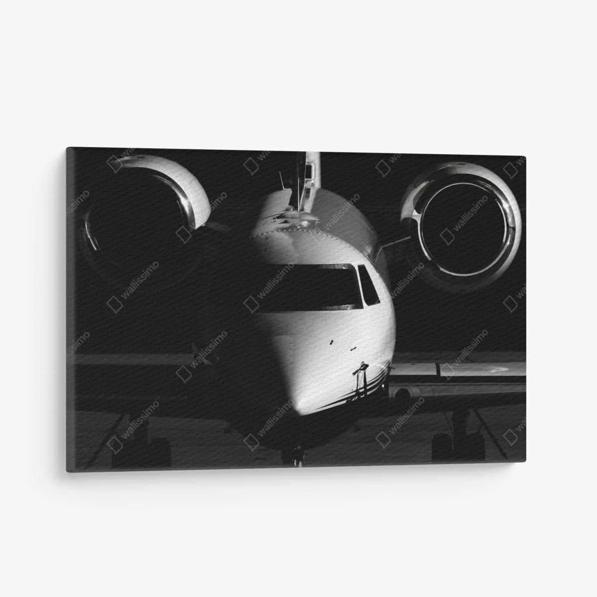 Leinwandbild monochrome frontalansicht eines privatjets – Wallnifity®