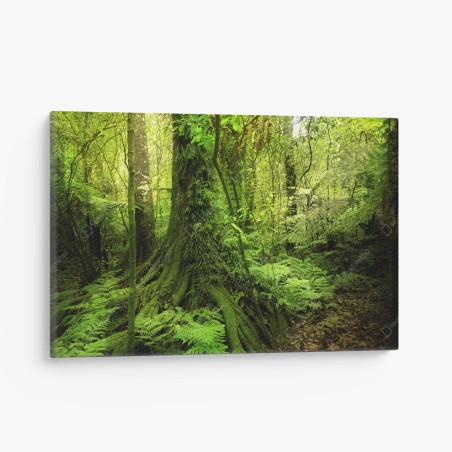 Leinwandbild üppiger tropischer dschungel – Wallnifity®