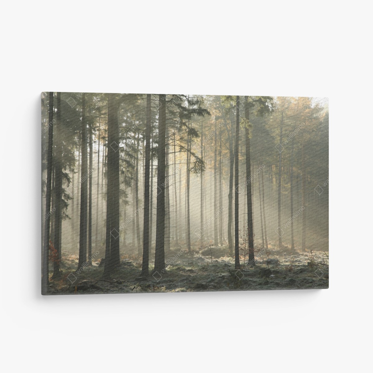 Leinwandbild nebliger morgenwald mit sonnenstrahlen – Wallnifity®