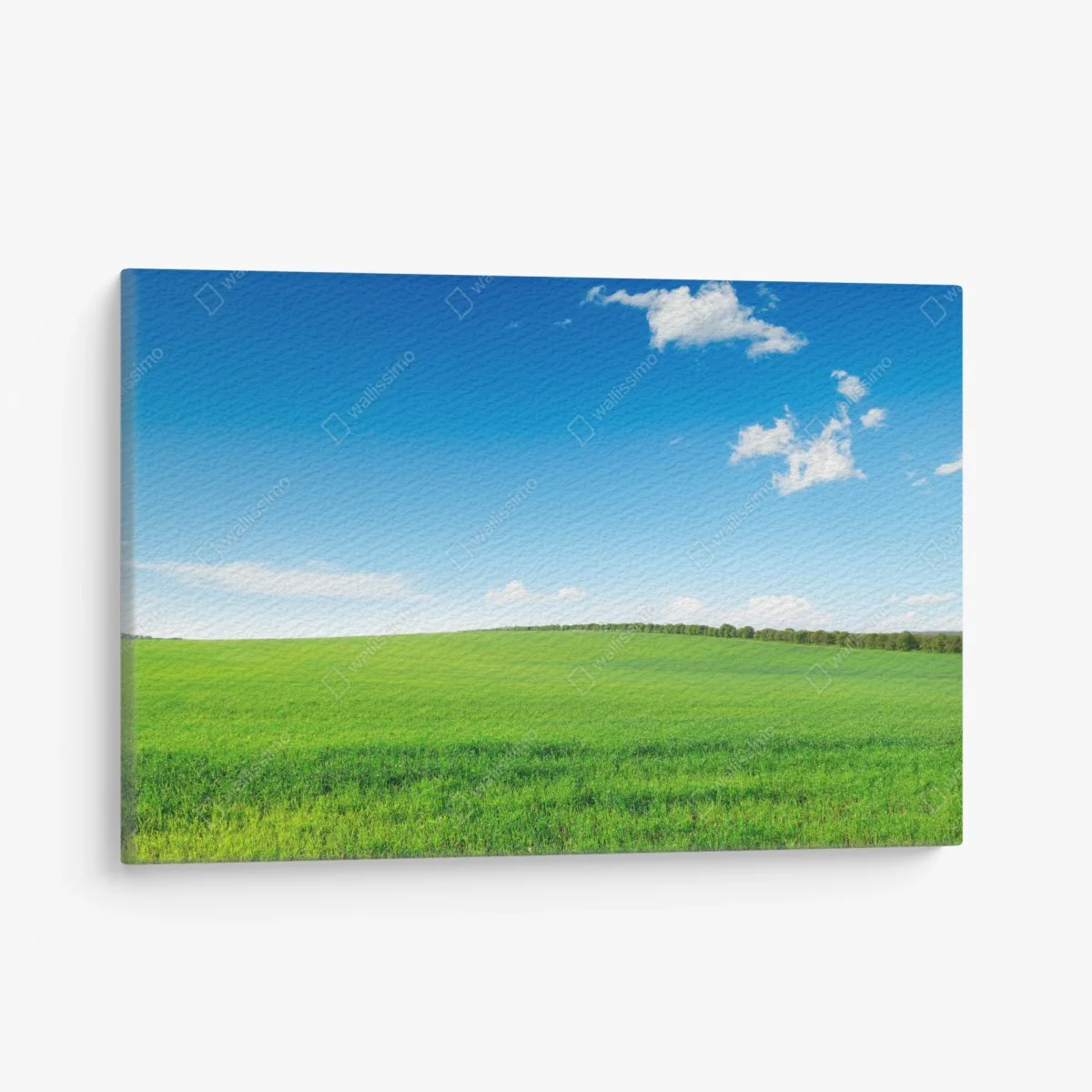 Leinwandbild ruhige grüne wiese unter blauem himmel – Wallnifity®