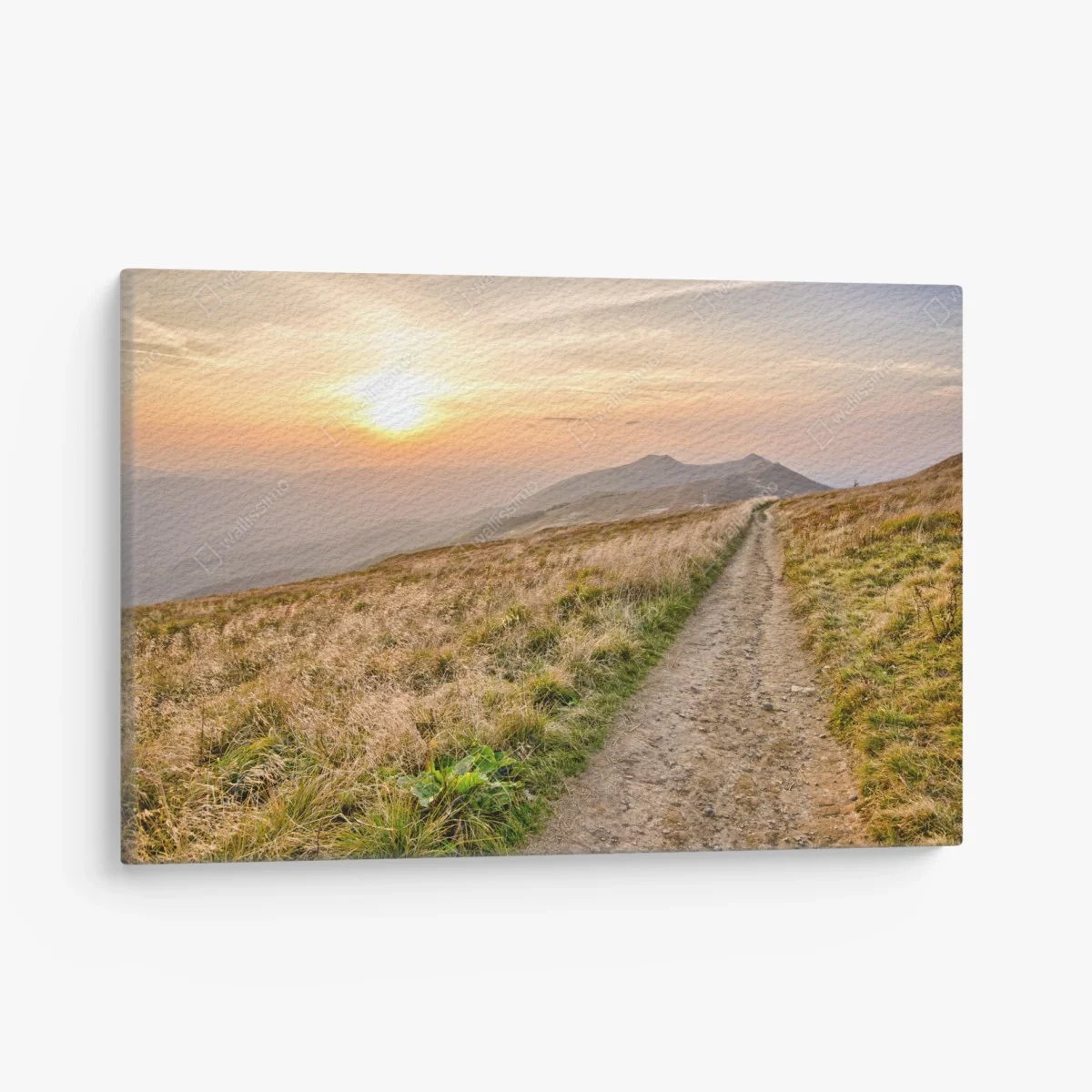 Leinwandbild wanderpfad bei sonnenuntergang in Bieszczady – Wallnifity® Leinwandbild wanderpfad bei sonnenuntergang in Bieszczady – Wallnifity®