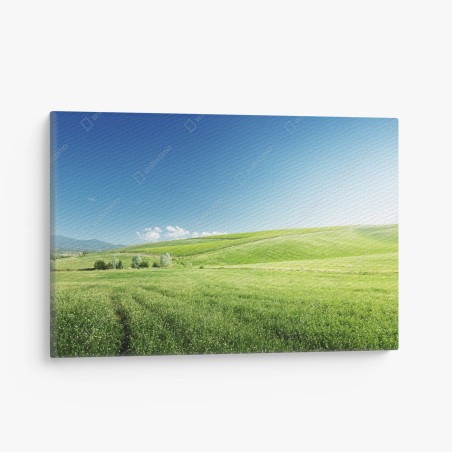 Leinwandbild ruhige grüne wiesenlandschaft – Wallnifity®