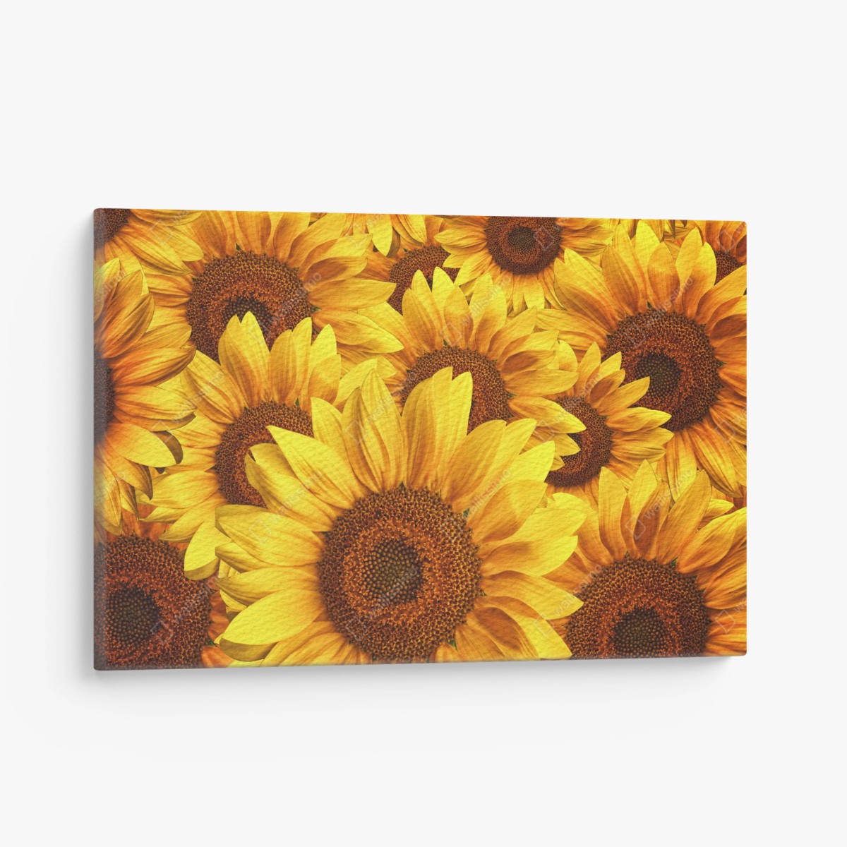 Leinwandbild goldene sonnenblumen – Wallnifity® Leinwandbild goldene sonnenblumen – Wallnifity®