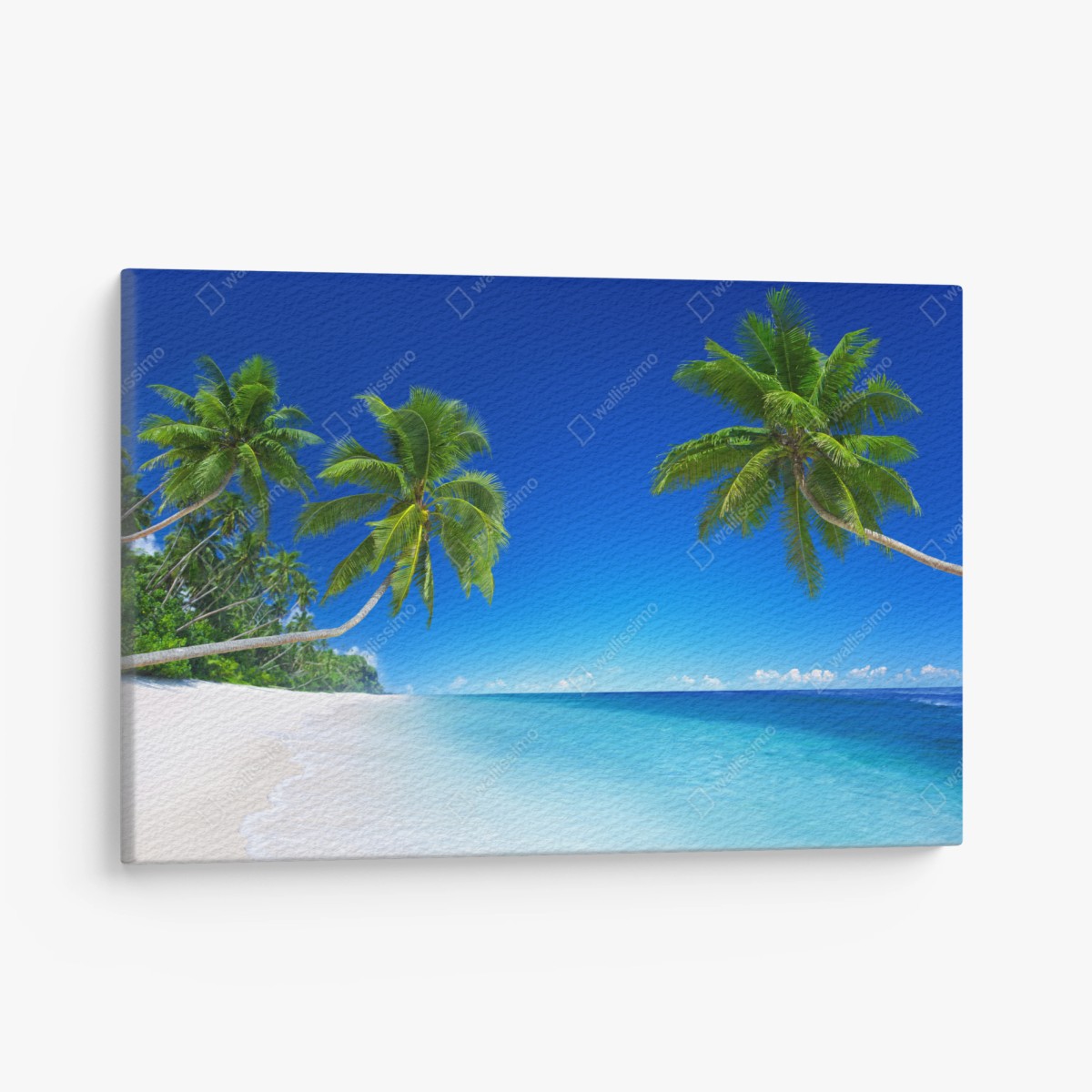 Leinwandbild tropischer strand mit palmen – Wallnifity®