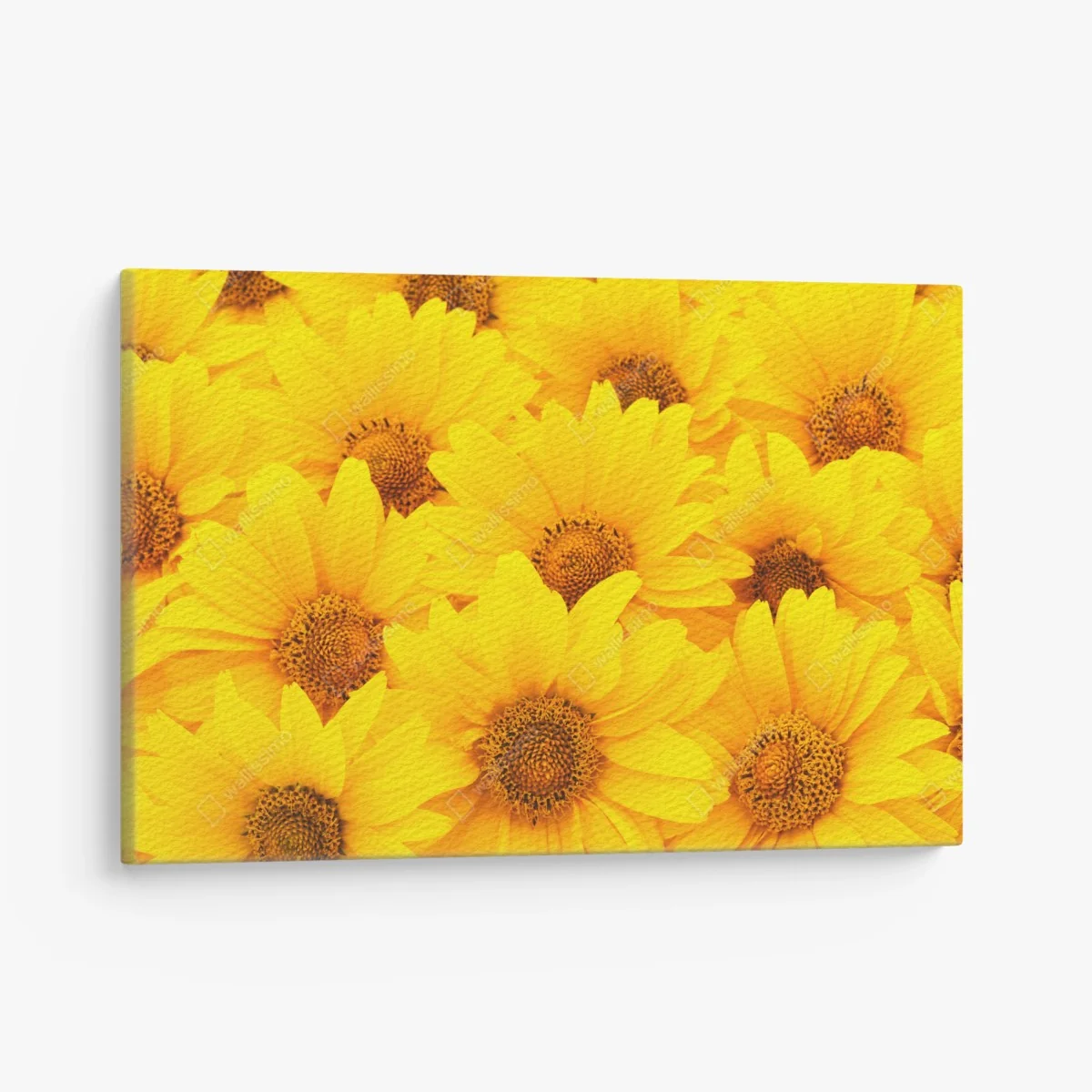 Leinwandbild leuchtende gelbe sonnenblumen in nahaufnahme – Wallnifity® Leinwandbild leuchtende gelbe sonnenblumen in nahaufnahme – Wallnifity®