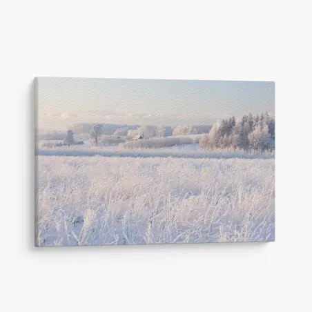 Leinwandbild wiese mit reif im morgenlicht – Wallnifity®