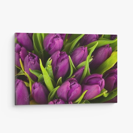 Leinwandbild lila tulpen im bukett – Wallnifity®