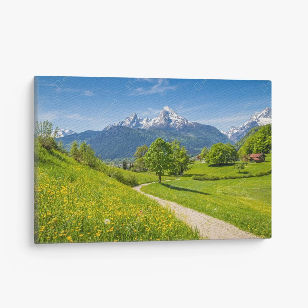Leinwandbild alpine frühlingswiese mit schneebedeckten gipfeln – Wallnifity® Leinwandbild alpine frühlingswiese mit schneebedeckten gipfeln – Wallnifity®