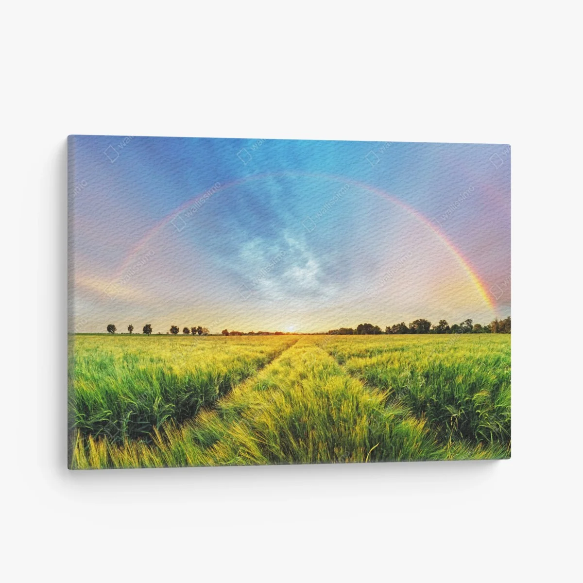 Leinwandbild regenbogen über goldenem weizenfeld bei sonnenuntergang – Wallnifity® Leinwandbild regenbogen über goldenem weizenfeld bei sonnenuntergang – Wallnifity®