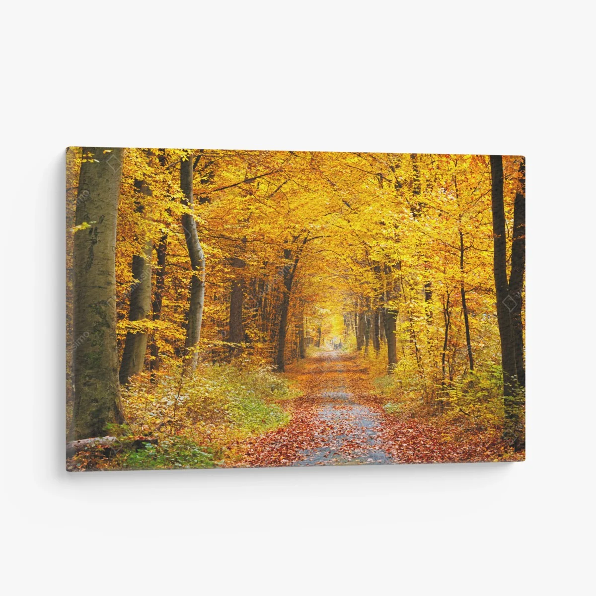 Leinwandbild goldener herbstwald pfad – Wallnifity® Leinwandbild goldener herbstwald pfad – Wallnifity®