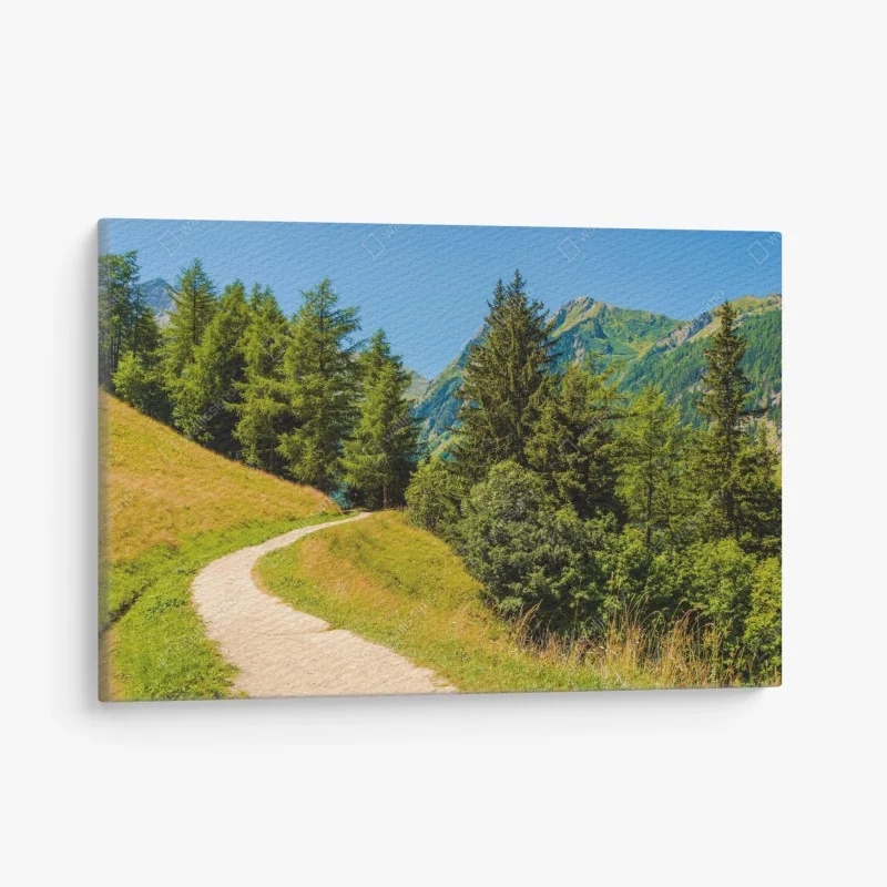 Leinwandbild einsamer baum am see Wanaka – Wallnifity®