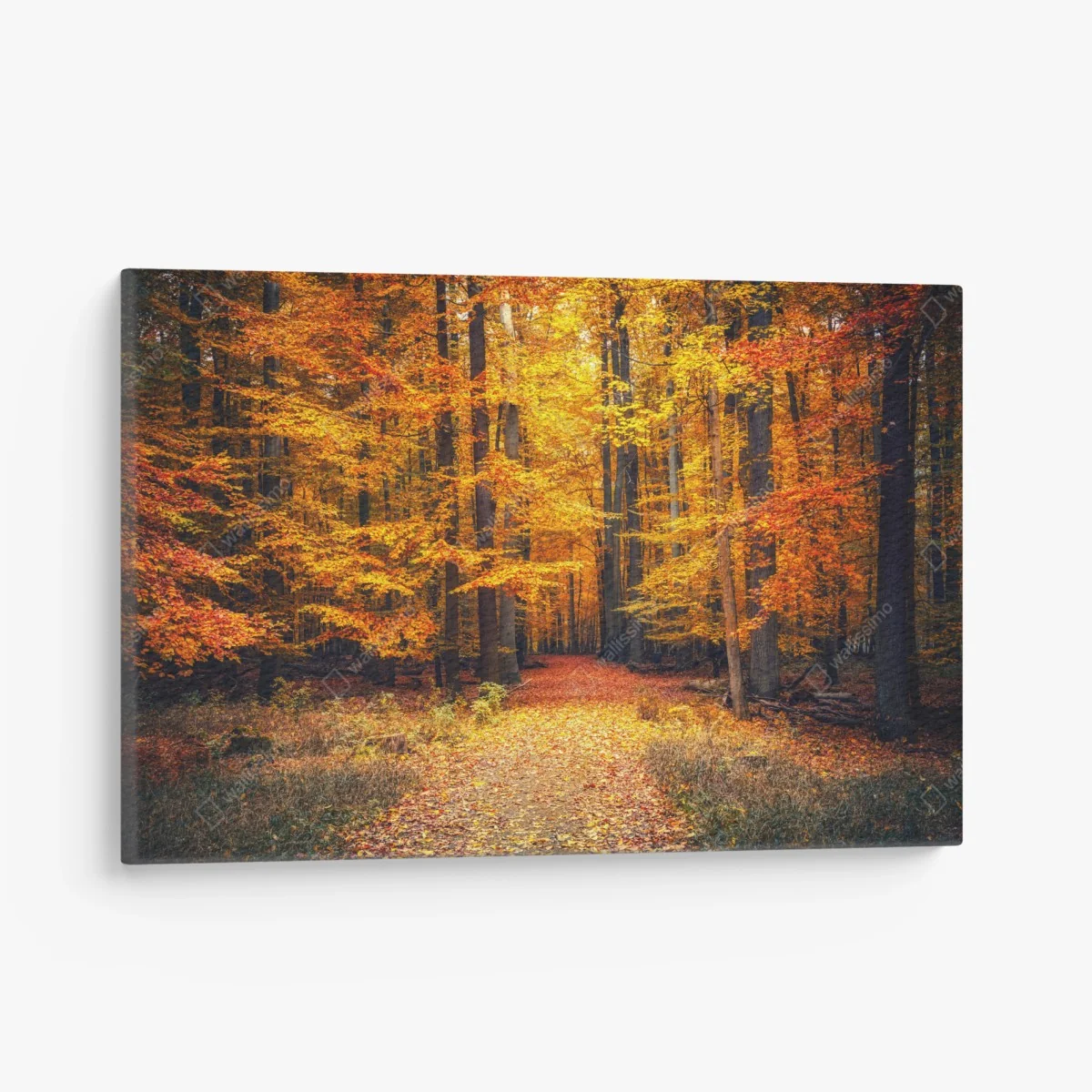 Leinwandbild herbstlicher waldpfad mit goldenen blättern – Wallnifity®