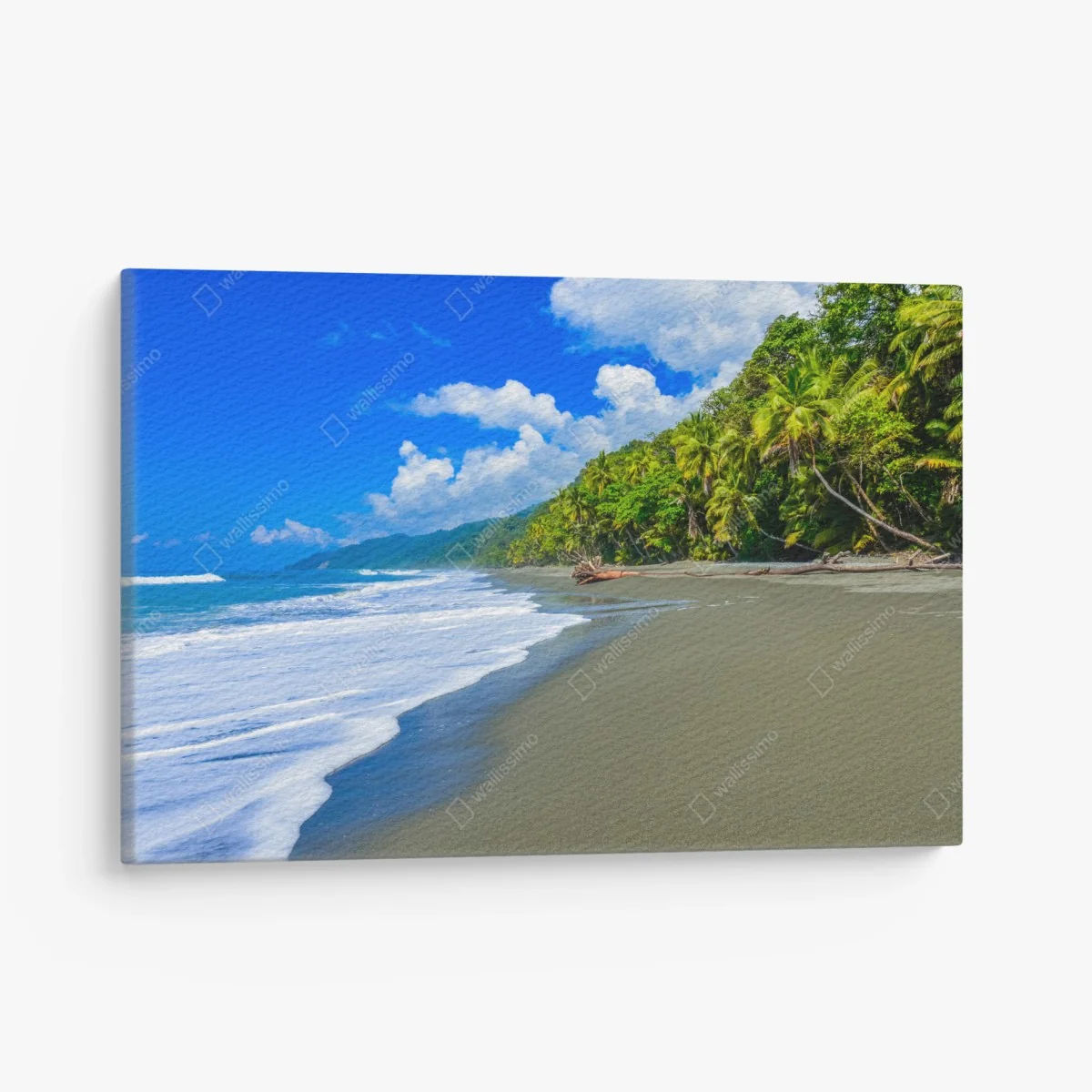Leinwandbild wilder strand bei Corcovado, Costa Rica – Wallnifity®