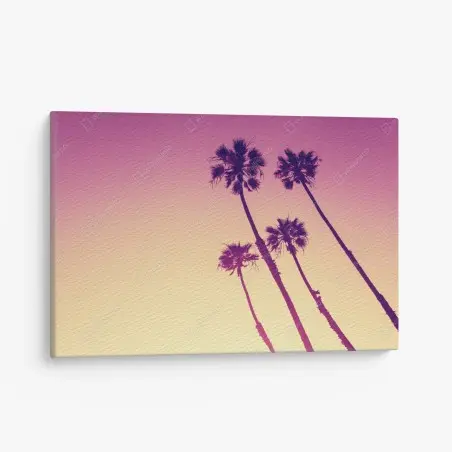 Leinwandbild kalifornische palmen bei Sunset Cliffs – Wallnifity®
