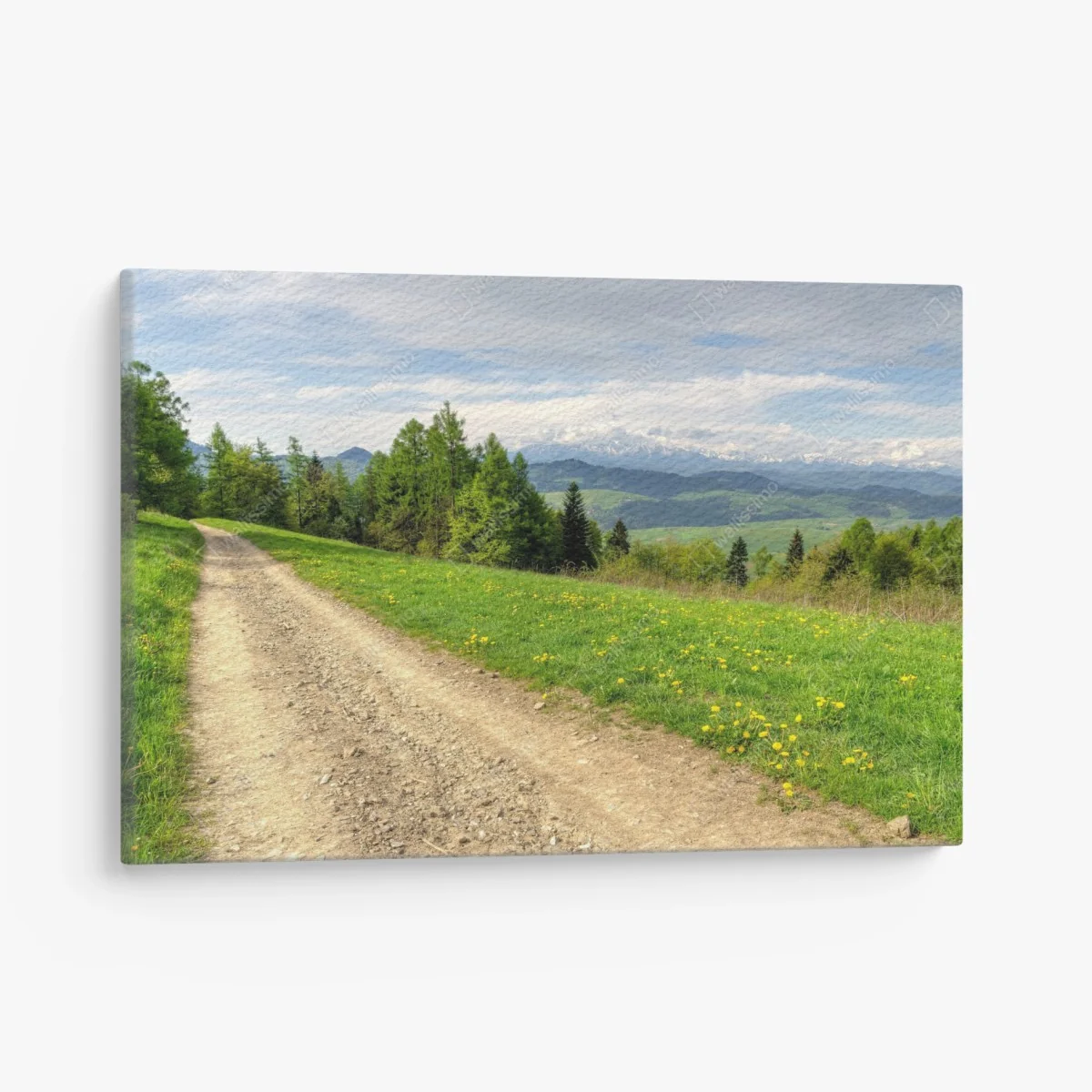 Leinwandbild Gorce frühlingspfad – Wallnifity® Leinwandbild Gorce frühlingspfad – Wallnifity®