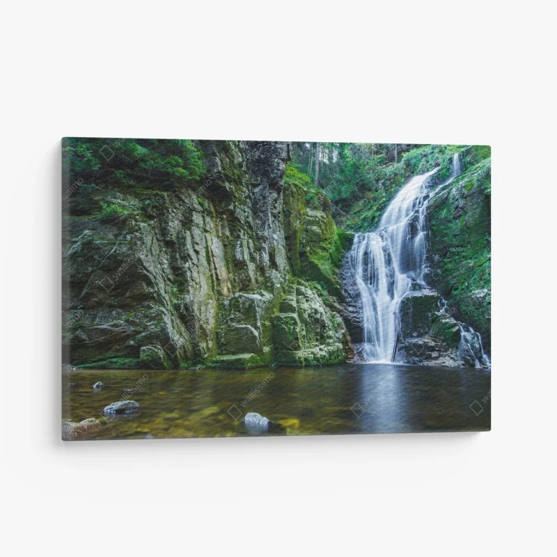 Leinwandbild steg im Pacific Rim regenwald – Wallnifity®