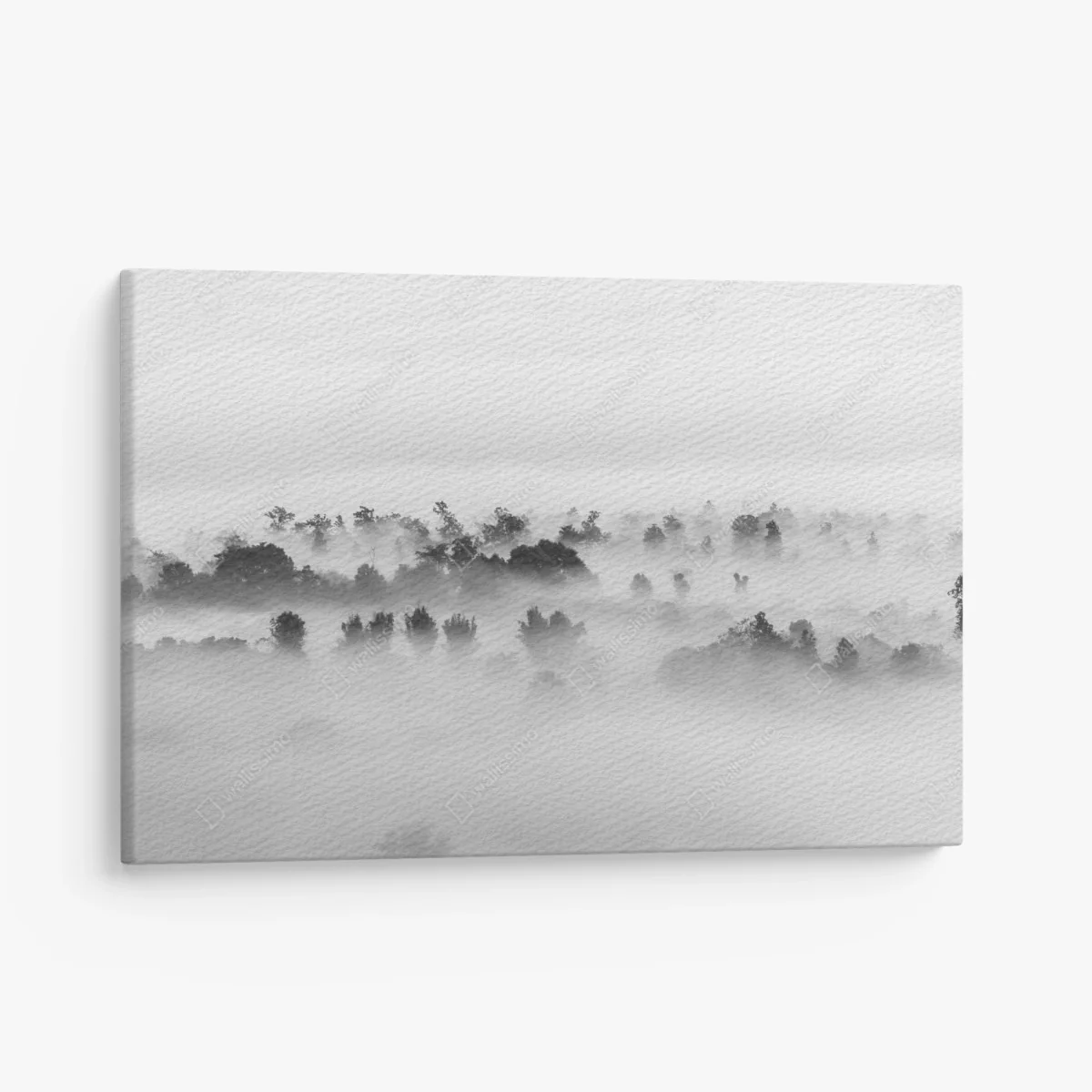 Leinwandbild nebliger wald in monochrom – Wallnifity®