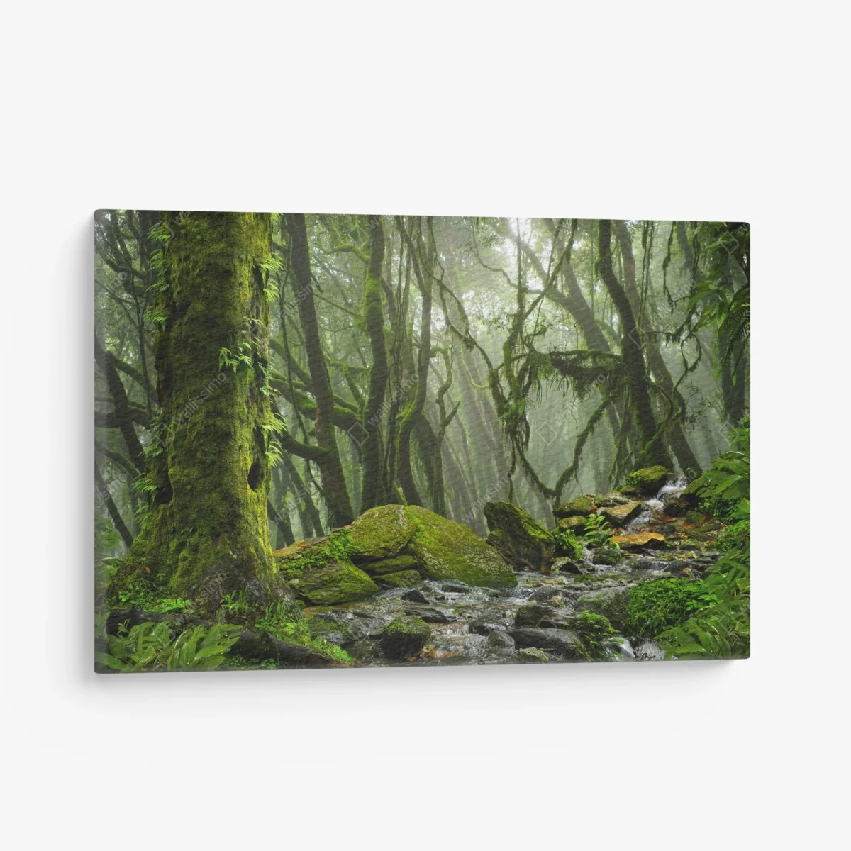 Leinwandbild moosiger wald mit bach im nebel – Wallnifity® Leinwandbild moosiger wald mit bach im nebel – Wallnifity®