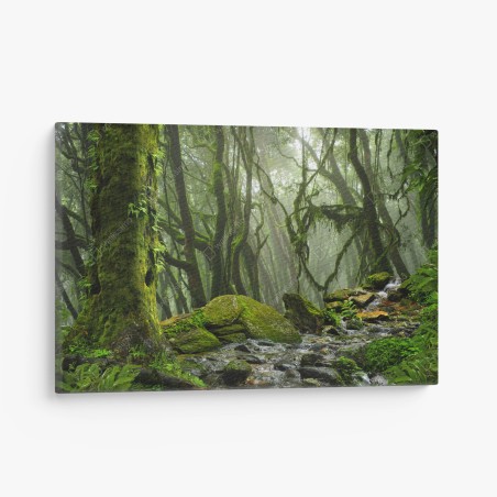 Leinwandbild moosiger wald mit bach im nebel – Wallnifity®