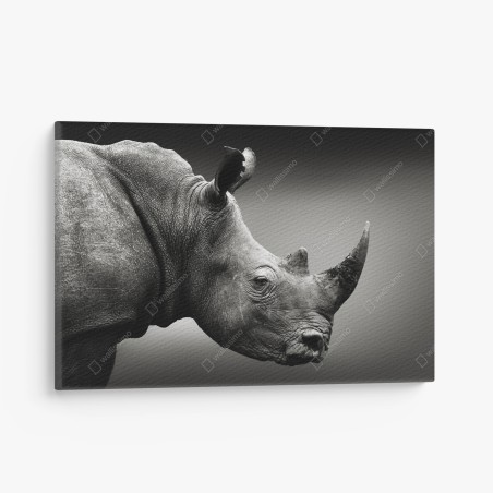 Leinwandbild majestätisches nashornporträt – Wallnifity®