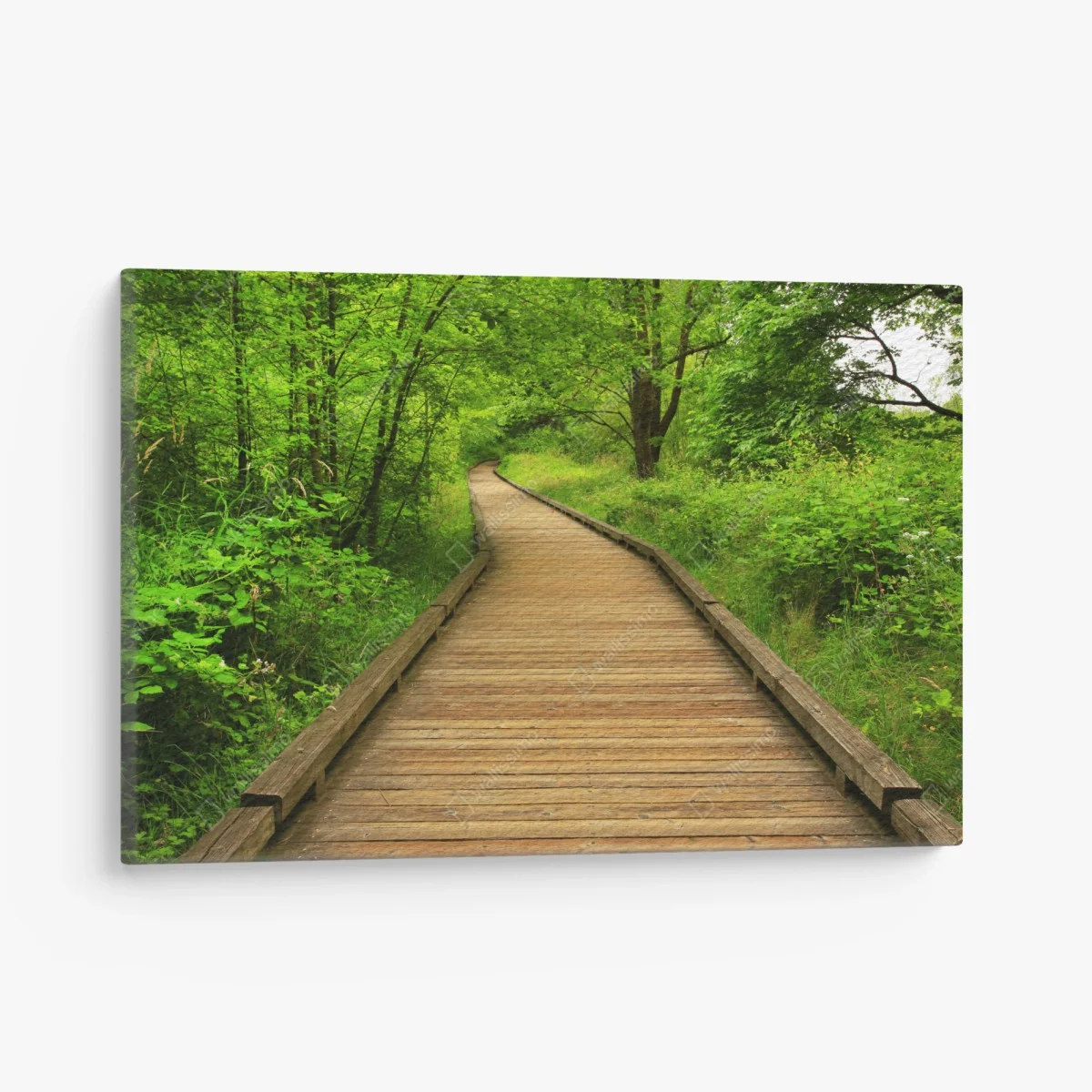 Leinwandbild ruhiger holzsteg im wald – Wallnifity® Leinwandbild ruhiger holzsteg im wald – Wallnifity®