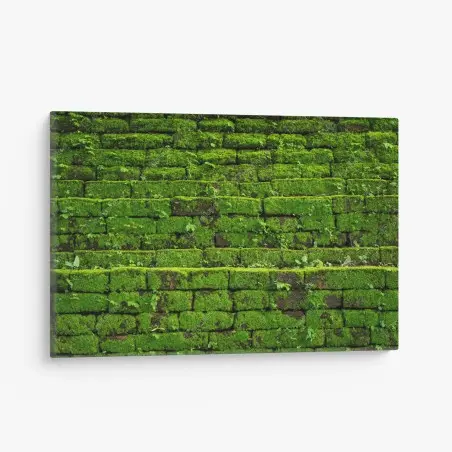 Leinwandbild üppige moosbedeckte ziegelwand – Wallnifity®