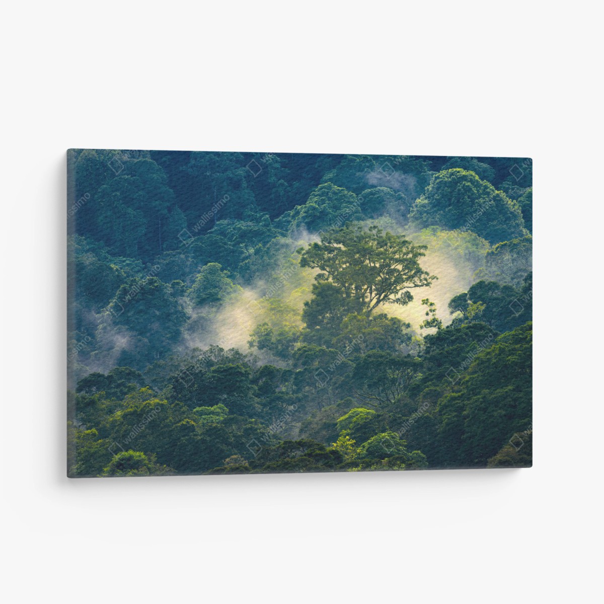 Leinwandbild nebliger regenwald mit baumkronen – Wallnifity®
