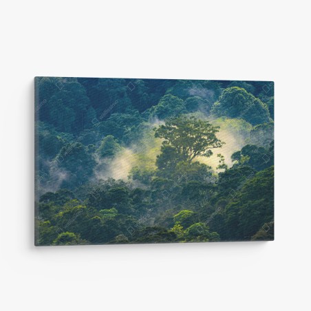 Leinwandbild nebliger regenwald mit baumkronen – Wallnifity®