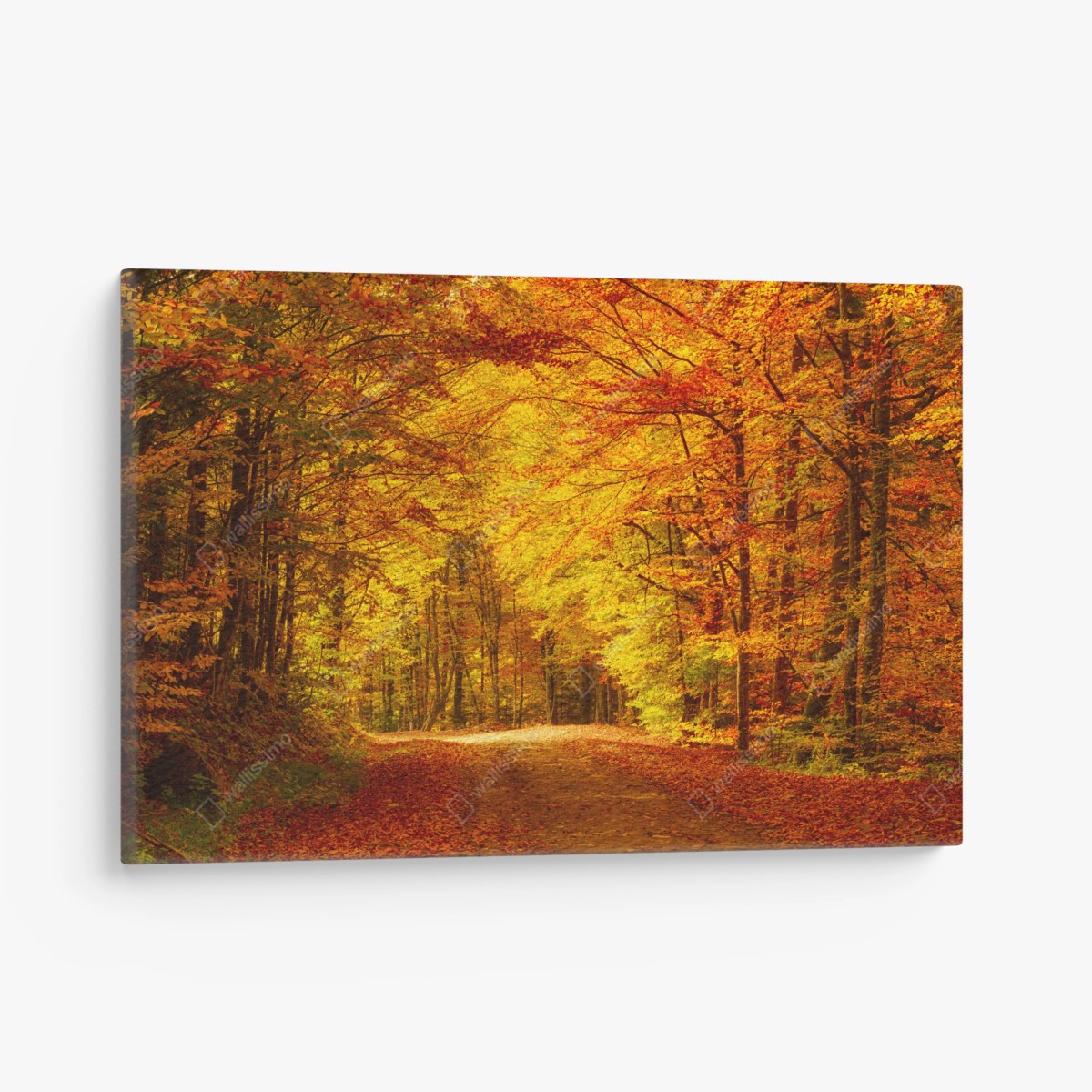 Leinwandbild goldener herbstwaldweg – Wallnifity®