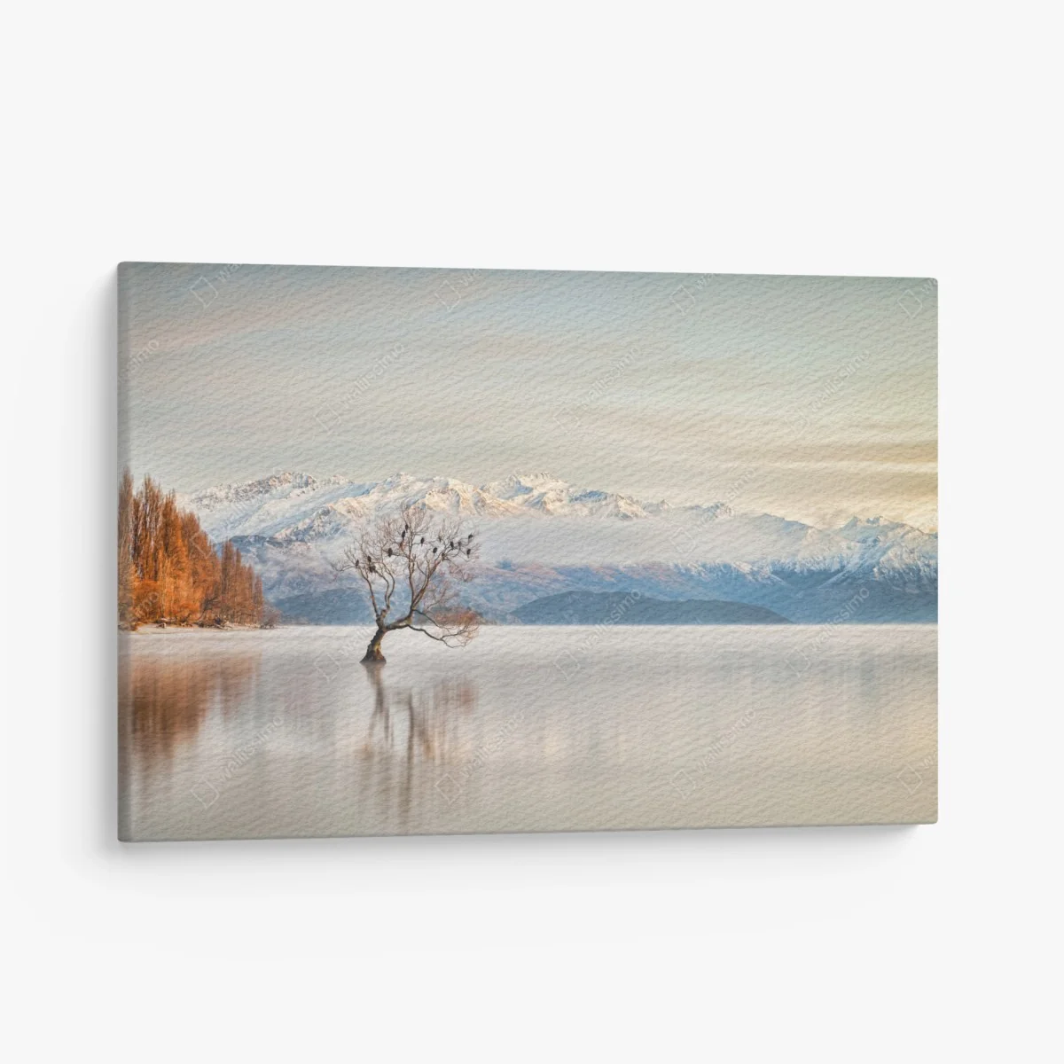 Leinwandbild einsamer baum am see Wanaka – Wallnifity® Leinwandbild einsamer baum am see Wanaka – Wallnifity®