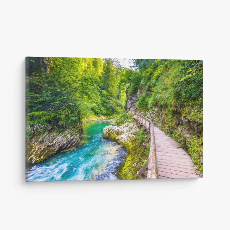 Leinwandbild moosiger alter waldpfad – Wallnifity®