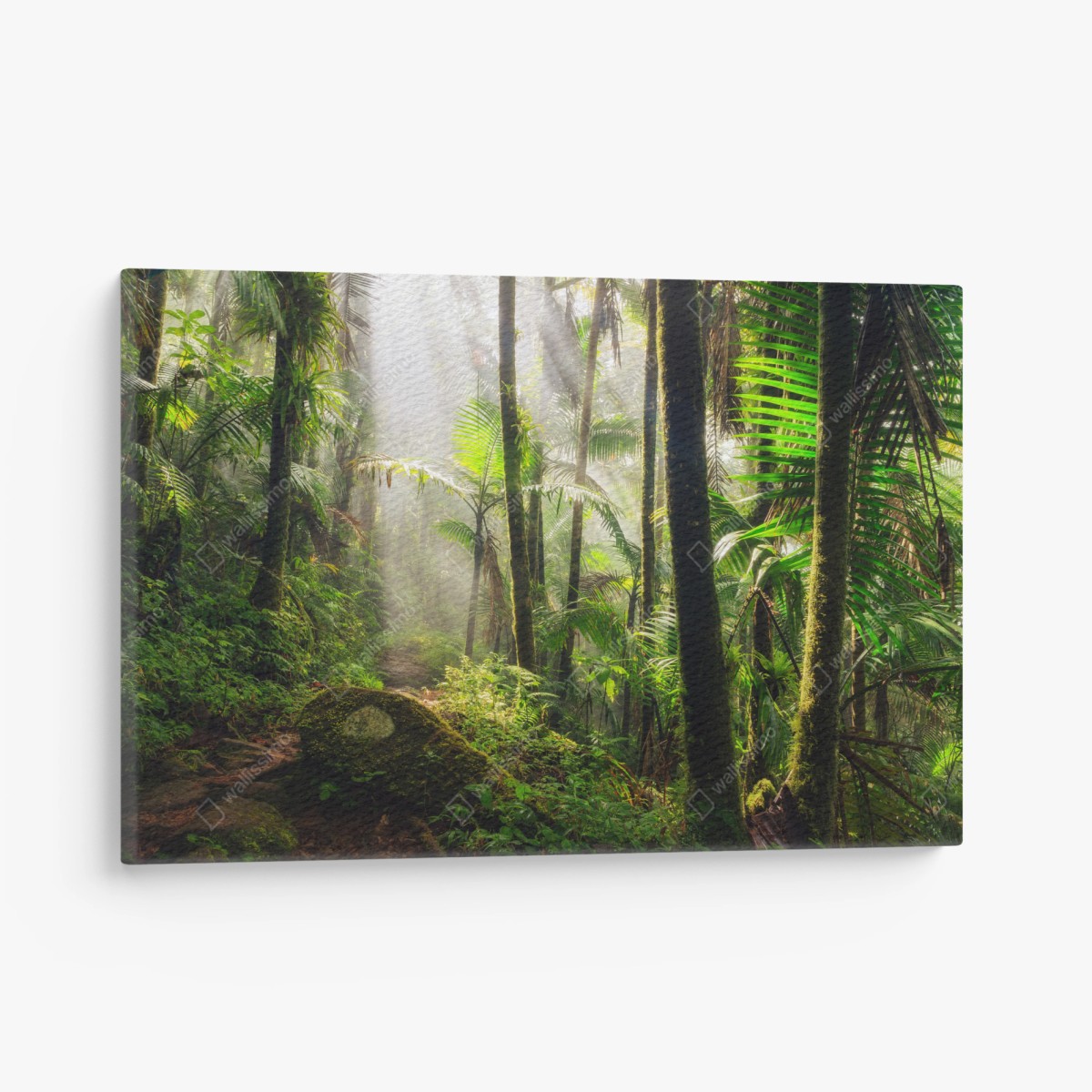 Leinwandbild tropischer regenwald mit sonnenstrahlen – Wallnifity®