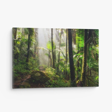 Leinwandbild tropischer regenwald mit sonnenstrahlen – Wallnifity®