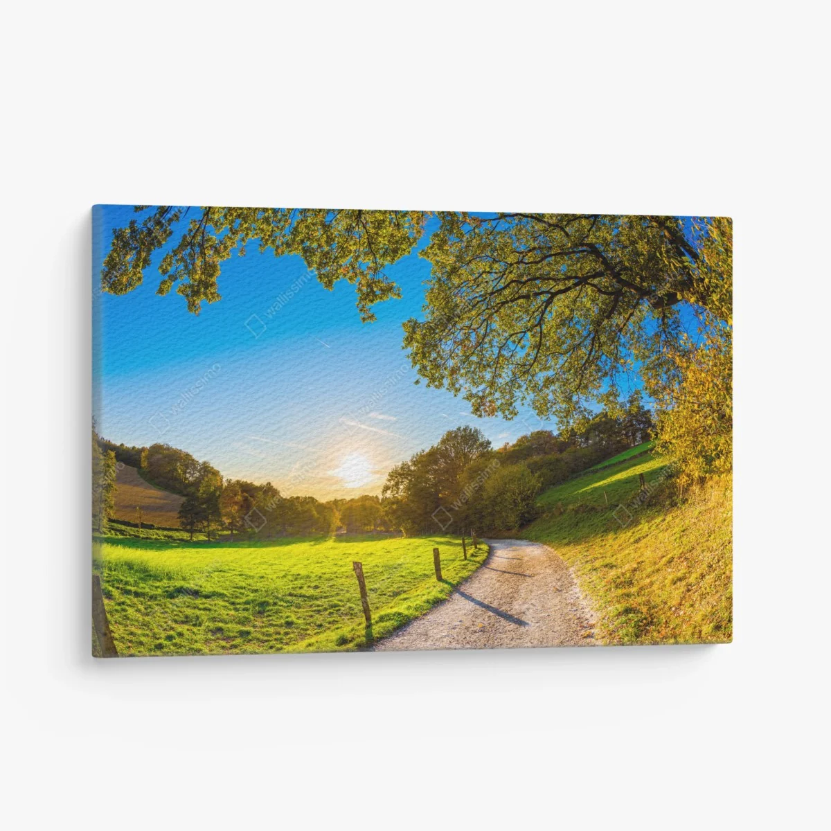 Leinwandbild sonnenbeschienene wiese mit landweg bei sonnenuntergang – Wallnifity® Leinwandbild sonnenbeschienene wiese mit landweg bei sonnenuntergang – Wallnifity®