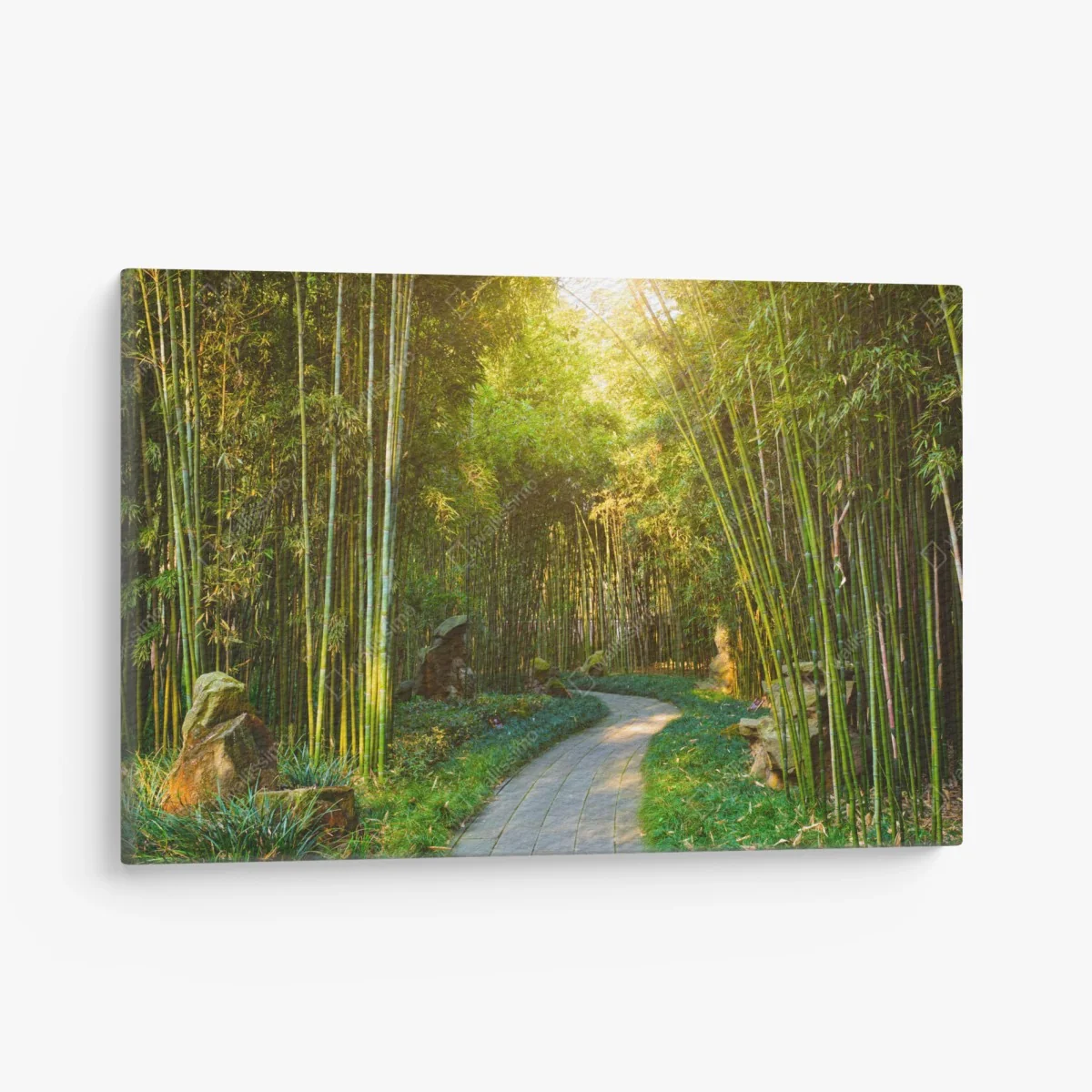 Leinwandbild ruhiger bambuswald mit pfad – Wallnifity® Leinwandbild ruhiger bambuswald mit pfad – Wallnifity®