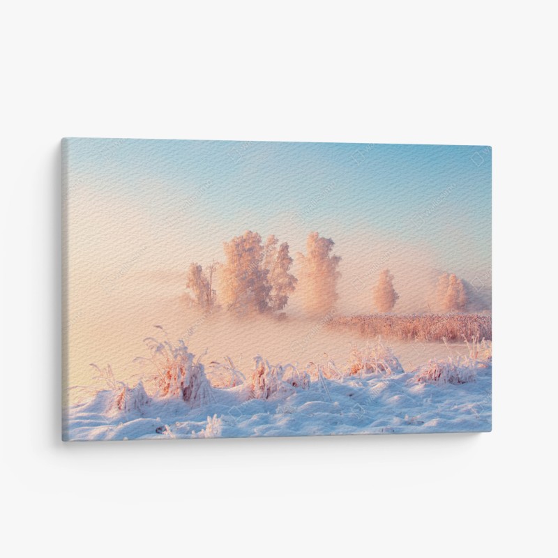 Leinwandbild winterlicher sonnenaufgang über einer frostigen wiese