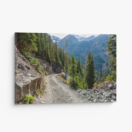 Leinwandbild bergpfad durch alpinen wald – Wallnifity®