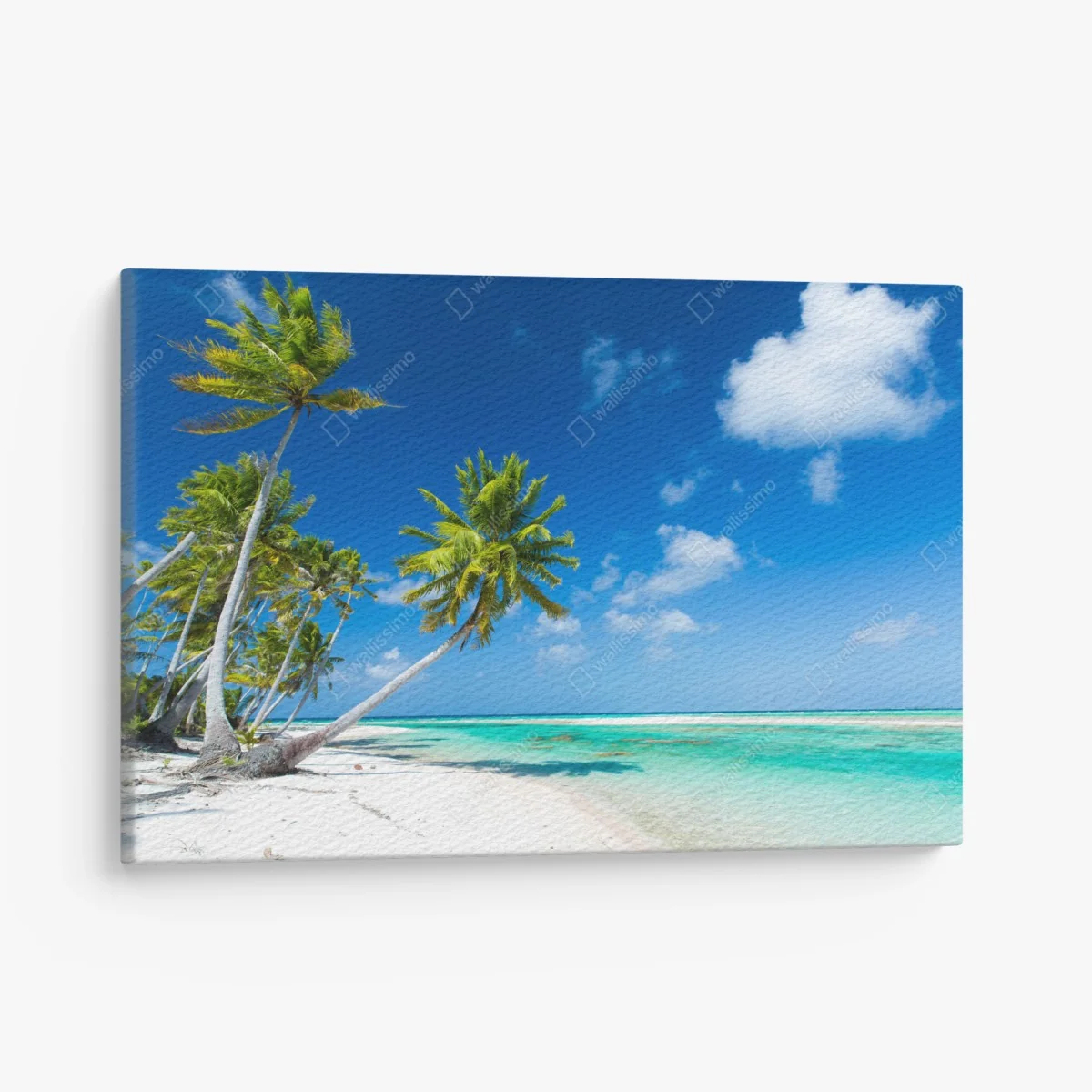 Leinwandbild tropischer strand mit palmen und türkisfarbenem wasser – Wallnifity® Leinwandbild tropischer strand mit palmen und türkisfarbenem wasser – Wallnifity®