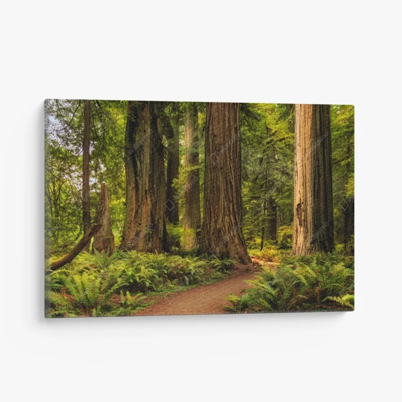 Leinwandbild weltkarte der tierwelt für kinder – Wallnifity®