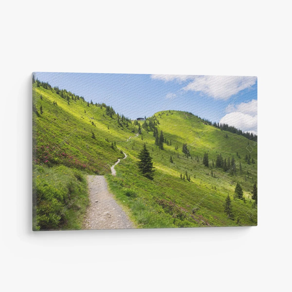 Leinwandbild sonniger bergpfad durch grüne wiese – Wallnifity® Leinwandbild sonniger bergpfad durch grüne wiese – Wallnifity®