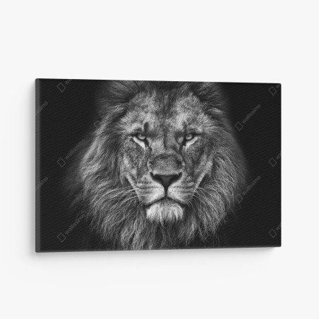 Leinwandbild majestätisches löwenportrait in monochrom – Wallnifity®