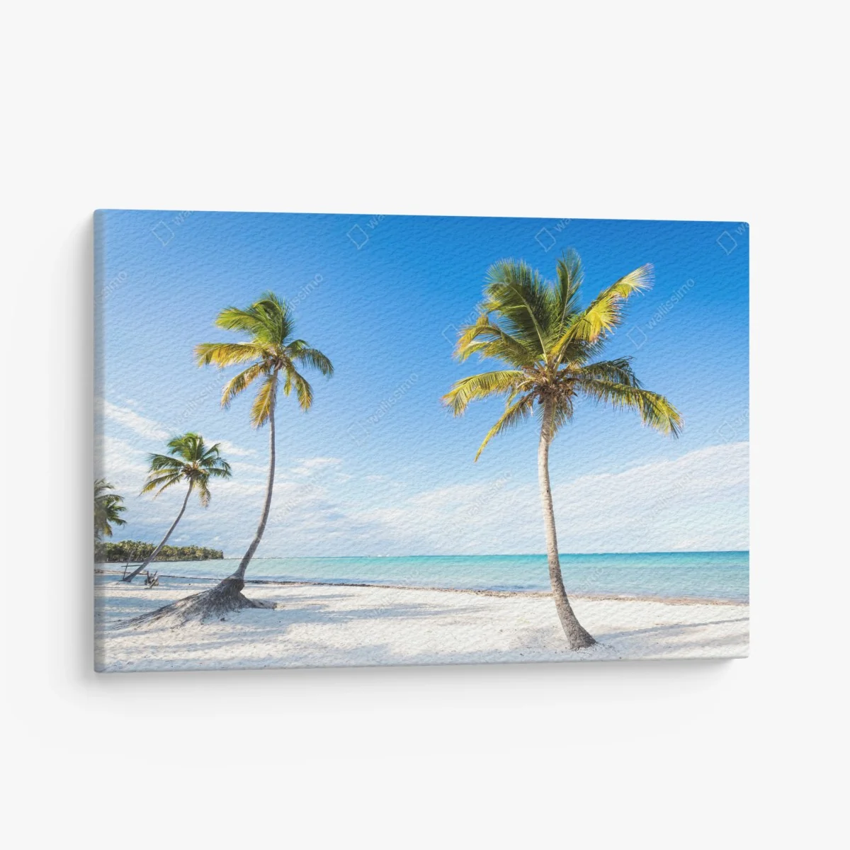 Leinwandbild tropischer palmenstrand – Wallnifity® Leinwandbild tropischer palmenstrand – Wallnifity®