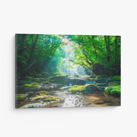 Leinwandbild sonnendurchfluteter waldbach mit moosbedeckten steinen – Wallnifity®
