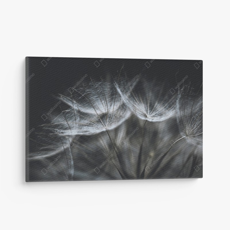 Leinwandbild braunbär fängt lachs im fluss – Wallnifity®