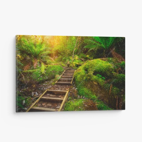 Leinwandbild moosiger regenwaldpfad auf der Tasman-Halbinsel – Wallnifity®