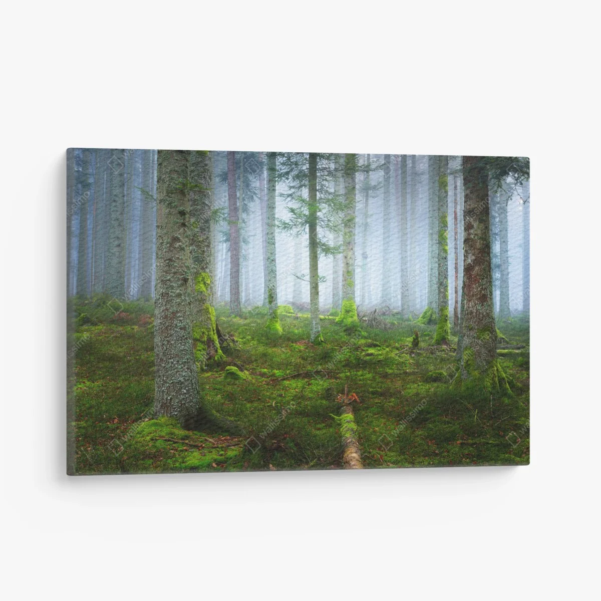 Leinwandbild nebliger kiefernwald aus dem Elsass – Wallnifity® Leinwandbild nebliger kiefernwald aus dem Elsass – Wallnifity®