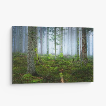Leinwandbild nebliger kiefernwald aus dem Elsass – Wallnifity®