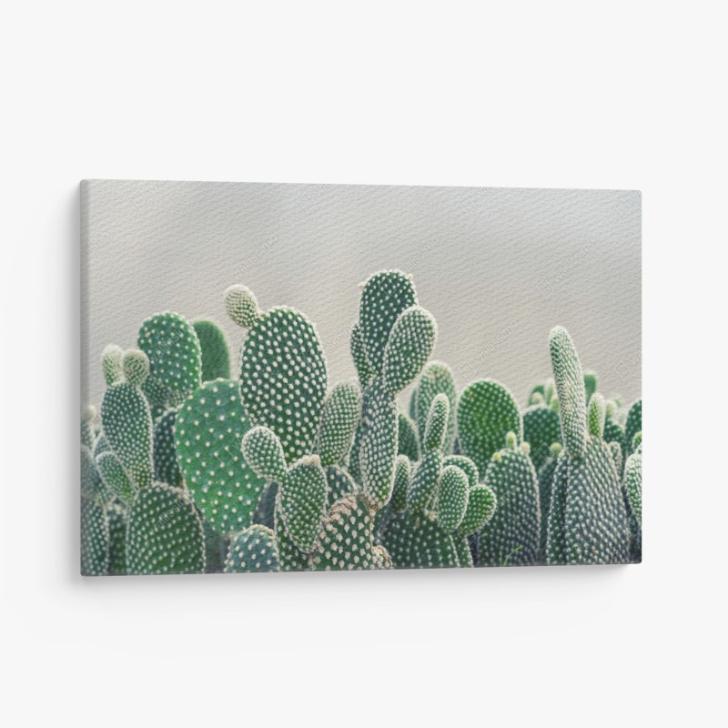 Leinwandbild hölzerner steg im sonnenaufgang – Wallnifity®