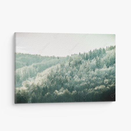 Leinwandbild nebliger reifbedeckter wald – Wallnifity®